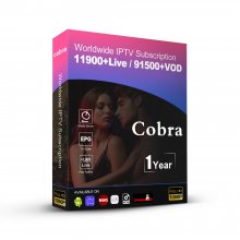 12 Months Cobra Stable IPTV Server M3U XXX Code France Europe Smarters Pro Abonnement