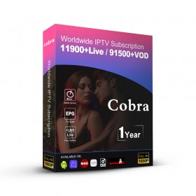 12 Months Cobra Stable IPTV Server M3U XXX Code France Europe Smarters Pro Abonnement
