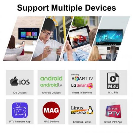 12 Months Dino IPTV 4K Sport Live Movies Vod Hot XXX Channels Support Smart tv M3u Android APK Smarter Pro