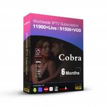 6 Months Cobra IPTV Code France Hot Arabic Europe Support Reseller Panel Credits Free Test IPTV Subscription