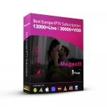 12 Months Megaott IPTV Abonnement M3u FULL HD VIP Sport Hot XXX for IPTV Smarter Code