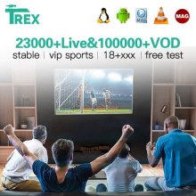 12 Months Trex IPTV Server 4K Xxx m3u 23000+live 100000+vod Firestick Smart Android TV Subscription T-rex